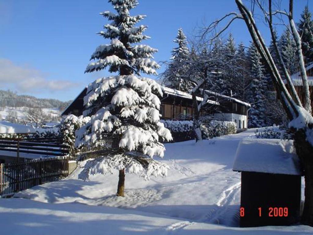 Relax pension u Nosků Smrzovka Ruang foto